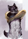 anthro black_body black_fur clothed clothing clothing_lift fur male shirt shirt_lift simple_background solo topwear yellow_clothing yellow_shirt yellow_topwear racoonwolf canid canine canis mammal wolf