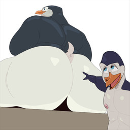 anthro big_butt butt gesture hand_gesture looking_back looking_up male nipples overweight overweight_male pointing simple_background size_difference smaller_male stubble white_background modern_bird dreamworks madagascar_(series) the_penguins_of_madagascar kowalski_(madagascar) skipper_(madagascar) wojak avian bird penguin 1:1 absurd_res hi_res meme