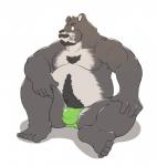 2015 anthro bear belly biped bulge clothing humanoid_hands male mammal moobs nipples overweight overweight_anthro overweight_male simple_background sitting solo underwear wdh3905 white_background
