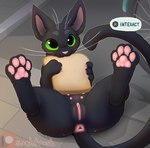4_toes anus bicycle black_body black_fur blush bread butt clitoris eating feet female feral food fur genitals green_eyes green_sclera hair hindpaw humanoid_genitalia humanoid_pussy looking_at_viewer lying multi_nipple nipples nude on_back outside pawpads paws pink_pawpads pussy simple_background solo tail tail_anus teeth toes vehicle whiskers backsash little_kitty_big_city patreon little_kitty_(lkbc) domestic_cat felid feline felis mammal 2025 digital_media_(artwork) hi_res
