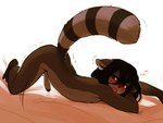 anthro ass_up black_hair blush bodily_fluids brown_body brown_fur femboy fur genital_fluids genitals hair long_hair lying male nude penis precum red_eyes shaking solo sweat helloggi mammal procyonid raccoon 4:3