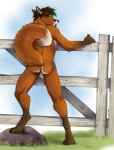 against_fence against_surface anthro anus backsack balls beard biped black_nose brown_hair butt day ear_piercing facial_hair fence fluffy fluffy_tail fur genitals gloves_(marking) grass green_hair hair leaning_on_fence leg_markings looking_at_viewer looking_back looking_back_at_viewer male markings nude orange_body orange_fur outside piercing plant raised_tail rear_view rock short_hair sky socks_(marking) solo standing tail wood wood_fence blackteagan jemeni canid canine fox mammal 2009