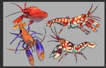 ambiguous_gender antennae_(anatomy) border exoskeleton feral grey_background grey_border orange_body orange_exoskeleton pincers red_body red_exoskeleton simple_background aevris arthropod crustacean marine pistol_shrimp shrimp