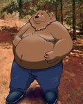 anthro belly black_nose blush bottomwear brown_body brown_fur clothing fur humanoid_hands male moobs nipples outside overweight overweight_male pants real solo sr_panda_86 bear mammal 2022