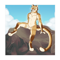 anthro armring bedroom_eyes blue_sky brown_body brown_fur chain_jewelry cloud ear_piercing ear_ring fur gold_(metal) gold_jewelry green_eyes jewelry male narrowed_eyes piercing pose ring_piercing rock seductive sky solo whiskers white_body white_fur sakkiye rikki_(purrma) cougar felid feline mammal 2026 absurd_res hi_res pinup