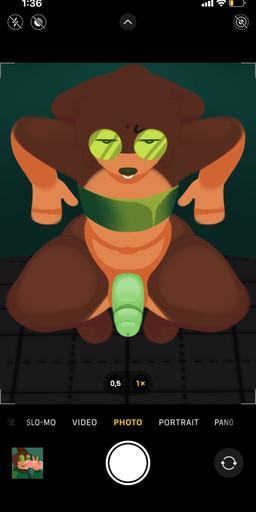 annoyed anthro big_butt brown_body brown_fur butt camera_hud clothing fluffy fluffy_hair fur glistening glistening_eyes green_eyes hair high-angle_view male medium_penis solo tan_body tan_fur text thick_thighs topwear tube_top hailey_png lucas_(hailey_png) canid canine mammal english_text hi_res