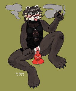 4_toes 5_fingers andromorph andromorph_anthro anthro black_clothing black_eyes black_nose black_shirt black_tank_top black_topwear blep blonde_hair blonde_highlights blush bodily_fluids bottomless bottomless_andromorph bottomless_anthro bottomless_intersex brown_body brown_claws brown_fur brown_hair brown_inner_ear cigarette claws clothed clothing coontail_hair dildo dildo_in_vagina dildo_insertion drugs eyewear facial_piercing fangs feet fingers fur genital_fluids genitals glasses glistening glistening_hair green_background hair highlights_(coloring) hindpaw holding_cigarette holding_object intersex intersex_anthro knot knotted_dildo marijuana mastectomy_scar mouth_closed multicolored_hair nose_piercing nose_ring partially_clothed_andromorph partially_clothed_anthro paws penetration piercing pink_scar pink_tongue pink_vulva rectangular_glasses red_dildo ring_piercing scar sex_toy sex_toy_in_vagina sex_toy_insertion shirt short_hair simple_background smile smoke smoking smoking_marijuana solo stoned substance_intoxication tank_top teeth toe_claws toes tongue tongue_out topwear two_tone_hair vaginal vaginal_fluids vaginal_fluids_on_dildo vaginal_penetration visibly_trans vulva birdpaw_(artist) badger mammal mustelid musteline 2025 digital_drawing_(artwork) digital_media_(artwork) full-length_portrait hi_res portrait trans_(lore) trans_man_(lore)