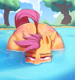 ass_up bent_over big_butt butt eyelashes female feral front_view half-closed_eyes lidded_eyes looking_at_viewer narrowed_eyes orange_body outside partially_submerged plant pupils shaking_butt solo suggestive suggestive_look tail thick_thighs tree water wiggle wings welost friendship_is_magic hasbro my_little_pony mythology scootaloo_(mlp) equid equine mammal mythological_creature mythological_equine pegasus 2023 absurd_res hi_res