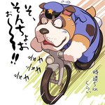 anthro bicycle biped bodily_fluids bottomwear clothing hat headgear headwear male pants police police_badge police_officer police_uniform shirt slightly_chubby solo sweat text topwear uniform vehicle masabowser animal_crossing nintendo booker_(animal_crossing) canid canine canis domestic_dog mammal 1:1 2013 japanese_text low_res