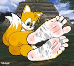 2_tails 5_toes anthro big_butt big_feet blush body_blush butt feet fluffy fluffy_chest foot_blush foot_fetish foot_focus humanoid_feet male multi_tail outside plantigrade soles solo spread_toes tail toes two_tone_feet white_soles wrinkled_feet wrinkles yellow_body elricalde sega sonic_adventure sonic_the_hedgehog_(series) miles_prower canid canine fox mammal hi_res