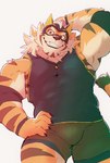 abs anthro biceps bottomwear clothing fur grin male mask muscular muscular_anthro muscular_male orange_body orange_fur pecs shirt shorts smile solo striped_body striped_fur stripes tank_top topwear heylaw21 lifewonders live_a_hero ryekie_(live_a_hero) felid mammal pantherine tiger absurd_res hi_res