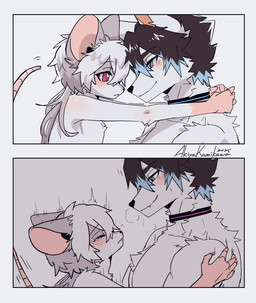 adolescent adult_on_adolescent ambiguous_anthro ambiguous_gender anthro black_nose blue_eyes blush blush_lines breath claws collar duo finger_claws fur hug hugging_another kemono male male/ambiguous male/male male_anthro male_penetrated male_penetrating male_penetrating_male motion_lines nude nude_anthro nude_male offscreen_penetration offscreen_sex on_lap penetration pointy_ears red_eyes sex sitting_on_lap size_difference tail white_body white_fur young young_ambiguous young_anthro young_male akiya_kamikawa furrybar chang_wen riz_(akiya_kamikawa) canid canine canis mammal murid murine rat rodent wolf absurd_res comic hi_res adult_(lore) male_(lore)