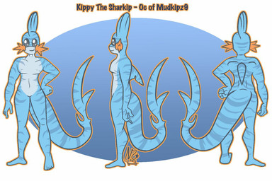 5_fingers 5_toes anthro biped blue_body blue_skin dorsal_fin featureless_chest featureless_crotch feet fin fingers front_view grey_eyes hand_on_hip humanoid_feet humanoid_hands long_tail male no_sclera orange_outline outline plantigrade pokemorph rear_view side_view simple_background smile solo stripes tail tail_fin text toes nuttsworth nintendo pokemon kippy_the_sharkip aquatic fish generation_3_pokemon hybrid mudkip pokemon_(species) requiem_shark shark tiger_shark 2015 character_name compression_artifacts digital_drawing_(artwork) digital_media_(artwork) english_description english_text flat_colors model_sheet