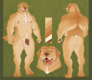 anthro ball_tuft balls beard biped chest_tuft facial_hair flaccid genitals heart_symbol humanoid_genitalia humanoid_penis looking_at_viewer male male_anthro mature_anthro mature_male musclegut muscular muscular_anthro muscular_male neck_tuft nipples nude nude_anthro nude_male one_eye_closed open_mouth open_smile overweight overweight_anthro overweight_male penis pubes smile solo standing tail teeth tongue tongue_out tuft wink chubchow bird_dog canid canine canis domestic_dog hunting_dog labrador mammal retriever 2025 absurd_res hi_res model_sheet