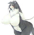 2018 anthro arms_tied bdsm big_breasts black_body black_fur black_hair blue_eyes blush bodily_fluids bondage border_collie bound breasts canid canine canis chain clenched_teeth collie domestic_dog featureless_breasts female female_anthro fur hair hands_behind_back herding_dog huge_breasts kemono kimubota leaning leaning_forward mammal multicolored_body multicolored_fur naturally_censored navel neck_tuft nude pastoral_dog sheepdog simple_background slightly_chubby solo tears teeth tuft two_tone_body two_tone_fur white_background white_body white_fur