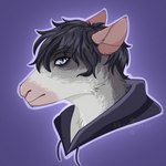 anthro black_hair blue_eyes eye_bags eyebrows fur grey_body grey_fur hair male pink_ears purple_background simple_background solo mistystar mammal murid murine rat rodent 1:1 headshot_portrait hi_res portrait