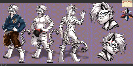 anthro bulge clothing fur jacket kemono male solo striped_body stripes sweatshirt text topwear wear midnight_blue felid feline mammal pantherine tiger absurd_res english_text hi_res model_sheet