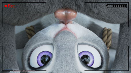 anthro balls bdsm bondage bound camera_view close-up duo fellatio female fur genitals grey_body grey_fur hunter looking_at_viewer male male/female oral penile penis purple_eyes recording rope sex rubber_(artist) disney zootopia hunter_(rubber) judy_hopps lagomorph leporid mammal rabbit 16:9 3d_(artwork) digital_media_(artwork) hi_res watermark widescreen
