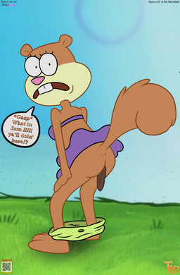 anthro bikini bikini_bottom bikini_top butt clothing dialogue feces feces_in_ass feces_on_ground female flower_cloud_(spongebob) looking_at_viewer pooping pooping_on_floor raised_tail solo southern southern_accent surprised swimwear tail teeth_showing two-piece_swimsuit walk-in thedispenser69 nickelodeon spongebob_squarepants sandy_cheeks mammal rodent sciurid tree_squirrel hi_res