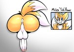 2_tails anthro anus balls genitals glory_hole male multi_tail penis photo presenting solo tail text through_wall taillove_(artist) sega sonic_the_hedgehog_(series) miles_prower canid canine fox mammal english_text hi_res