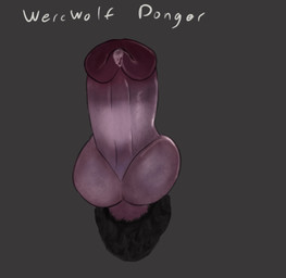 animal_genitalia animal_penis bodily_fluids canine_genitalia canine_penis cum erection genital_fluids genital_focus genitals knot knotted_penis male penis penis_focus solo conditional_dnp lord_tourettes mythology canid canine mammal mythological_canine mythological_creature werecanid werecanine werecreature werewolf hi_res