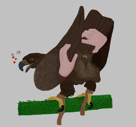 ambiguous_gender animal_genitalia ankle_cuffs ass_up beak bestiality butt butt_grab cloaca cuff_(restraint) disembodied_hand duo falconry feathers feral genitals hand_on_butt heart_symbol human_on_feral interrobang interspecies jesses open_mouth question_mark questionable_consent raised_tail rear_view restraints tail tongue young unknown_artist accipitrid accipitriform avian bald_eagle bird eagle human mammal sea_eagle hi_res
