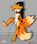 2_tails 4_toes anthro arms_tied asphyxiation balls blue_eyes bodily_fluids bound chest_tuft choking countershading death_piss dying erotic_asphyxiation feet femboy fluffy fluffy_tail front_view frown fur garrote genital_fluids genitals hands_behind_back humanoid_genitalia humanoid_penis imminent_death inside male male_peeing multi_tail navel neck_tied orange_body orange_fur outline pawpads peeing penis pink_pawpads rope solo tail tied_to_pole toes tongue tongue_out tuft urine white_body white_fur sybar14 sega sonic_the_hedgehog_(series) miles_prower canid canine fox mammal absurd_res digital_media_(artwork) hi_res signature