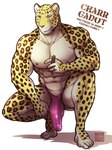 abs anthro bulge cigar clothed clothing crouching male simple_background solo thong underwear underwear_only white_background maririn charr_(maririn) felid leopard mammal pantherine hi_res