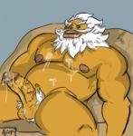 balls beard biceps big_pecs bodily_fluids cum facial_hair genital_fluids genitals hairy humanoid_genitalia humanoid_penis male masturbation muscular muscular_male nipples nude pecs penis precum rock solo aji_arts breath_of_the_wild nintendo the_legend_of_zelda lord_daruk goron hi_res