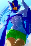 anthro athletic athletic_anthro athletic_male beak blue_body blue_feathers clothing feather_hands feathered_wings feathers green_eyes looking_at_viewer male shirtless sky solo swimming_trunks swimwear winged_arms wings chikichikitaron breath_of_the_wild nintendo the_legend_of_zelda revali avian bird rito hi_res