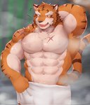 abs anthro arm_scar biped body_scars clothed clothing detailed_background front_view fur male muscular muscular_anthro muscular_male open_mouth orange_body orange_eyes orange_fur pecs scar solo standing steam striped_body striped_fur stripes topless towel towel_only white_body white_fur lef knights_college grantly_bell felid mammal pantherine tiger 2022 digital_drawing_(artwork) digital_media_(artwork) hi_res