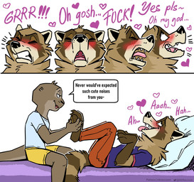 anthro bed blush bottomwear brown_body brown_fur clenched_teeth clothed clothing dialogue duo eyes_closed feet fingers foot_rub fur furniture half-closed_eyes hand_on_foot humor looking_pleasured lying male male/male narrowed_eyes on_back on_bed open_mouth pants pillow shirt shorts simple_background sitting smile speech_bubble tail teeth text toes tongue tongue_out topwear nikraccoom felix_(nik159) nik_(nik159) mammal mustelid otter procyonid raccoon comic digital_media_(artwork) english_text hi_res