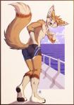 anthro biceps chest_tuft clothed clothing deabs fur male muscular muscular_anthro muscular_male nipples pecs solo swimwear topless tuft gothwolf akasch canid canine fennec_fox fox mammal true_fox 2015 digital_media_(artwork) hi_res