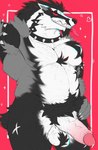 anthro ball_tuft balls bodily_fluids collar erection fur genital_fluids genitals glans humanoid_genitalia humanoid_penis male penis precum pubes smile solo spiked_collar spikes standing teeth tongue tongue_out tuft isaacyote_(artist) nintendo pokemon generation_8_pokemon obstagoon pokemon_(species) absurd_res digital_drawing_(artwork) digital_media_(artwork) hi_res