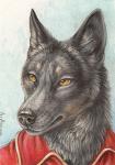 ambiguous_gender anthro black_lips black_nose clothed clothing fur grey_body grey_fur inner_ear_fluff lips long_mouth no_sclera simple_background snout solo tuft yellow_eyes rukis luther_denholme canid canine canis mammal wolf 2015 headshot_portrait portrait