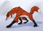 anthro feral looking_at_viewer male multicolored_body muscular orange_body semiferal solo white_body zhekathewolf mythology canid canine fox mammal mythological_canine mythological_creature were werecanid werecanine werefox werewolf 2024 digital_media_(artwork) hi_res