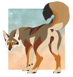animal_genitalia animal_vulva anus brown_body brown_fur canine_genitalia canine_vulva female female_feral feral fluffy fluffy_tail fur genitals looking_back presenting presenting_vulva solo tail vulva hedonophobia_h yops_(psychedelicyops) canid canine canis coyote mammal 2025 hi_res