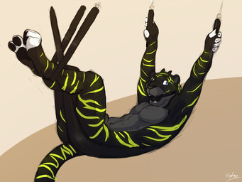 animal_genitalia anthro ball_gag black_body black_fur black_horn blue_eyes fully_sheathed fur gag gagged genitals green_markings green_stripes grey_body grey_fur grey_sheath horn looking_aside male male_anthro markings nude open_mouth sex_swing sheath side_view small_horn solo striped_arms striped_body striped_fur striped_legs striped_markings striped_tail stripes tail tail_markings solaxe_(artist) felid mammal 4:3 signature