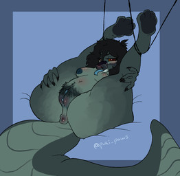 anthro belly big_belly big_tail blue_nipples blue_tongue blue_vulva bound female flexible genitals hairy_vulva legs_tied nipples pubes red_sclera solo tail thick_thighs tongue vulva puki_paws miravelle_(phantanyl) python reptile scalie snake hi_res
