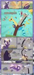 anthro band-aid band-aid_on_face band-aid_on_nose bandage bandage_on_face bandage_on_nose black_border border box canterlot canterlot_castle confetti container crystal crystal_necklace cutie_mark dialogue duo ears_up eyelashes eyes_closed fangirling female feral floating frown gift gift_bow gift_box gift_tag gift_wrapped glowing happy jewelry levitating magic male necklace open_mouth orange_eyes orb spread_wings surprise surprised_expression wide_eyed wings estories friendship_is_magic hasbro my_little_pony discord_(mlp) wildheart_(estories) chimera draconequus earth_pony equid equine horse mammal pony absurd_res hi_res
