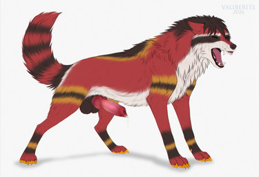 animal_genitalia aroused balls bodily_fluids cum demonstrating excitation feral fur genital_fluids genitals hair heterochromia male paws peaceful penis precum presentation red_body red_fur repose rest rising sheath solo tail valiberite akiratheraccoon canid canine fox hybrid mammal procyonid raccoon absurd_res hi_res sketch