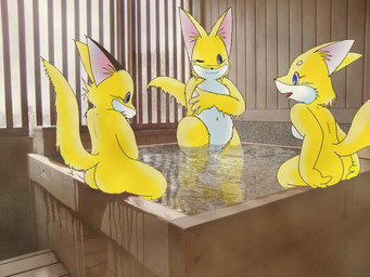 anthro bath butt female group tail water karasuuri canid canine fox mammal 4:3
