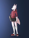 anthro bottomwear clothing footwear glowing glowing_eyes hoodie knee_highs knee_socks legwear male shoes shorts sneakers socks solo tome topwear bastiel canid canine canis ghost mammal spirit wolf hi_res