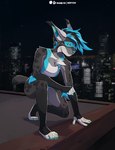 anthro blue_hair blue_nose breasts city clothed clothing detailed_background female fur grey_body grey_fur hair night outside solo nerton felid feline mammal 2022 absurd_res digital_media_(artwork) hi_res