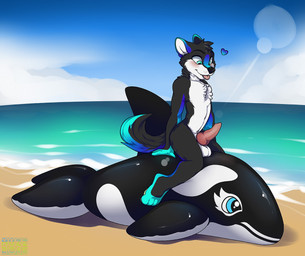 animal_genitalia animal_penis animal_pool_toy anthro balls beach biped black_body black_fur blue_body blue_fur blush canine_genitalia canine_penis detailed_background erection fur genitals green_body green_fur heart_symbol inflatable inflatable_ride inflatable_support knot male nude on_pool_toy on_top outside penis pool_toy sand sea seaside sitting smile solo straddling teal_eyes tongue water white_body white_fur muzz this_isn't_my_horn aquatic canid canine canis cetacean dolphin inanimate_object mammal oceanic_dolphin orca toothed_whale wolf 2016 meme