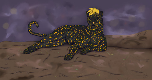 blonde_hair feral fur grey_body grey_fur hair looking_at_viewer lying_on_the_ground male solo yellow_body yellow_eyes yellow_fur ryks felid feline leopard mammal pantherine 256:135 4k absurd_res hi_res