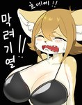 anthro big_breasts blonde_hair blush blush_lines bodily_fluids bra breasts clothing crying female hair inner_ear_fluff saliva simple_background solo sweat tears tears_on_cheek teeth text topwear tuft underwear white_inner_ear kantan canid canine fennec_fox fox mammal true_fox absurd_res hi_res korean_text translation_request