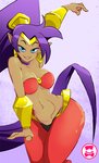 athletic athletic_female bandeau belly_dancer belly_dancing big_breasts blue_eyes breasts clothed clothing ear_piercing ear_ring female hair midriff navel not_furry piercing purple_hair ring_piercing solo topwear under_boob wide_hips schpicy shantae_(series) wayforward shantae humanoid