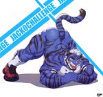 anthro ass_up back_muscles bedroom_eyes blue_body blue_fur bubble_butt butt clothing countershading footwear footwear_only fur hair jack-o'_pose male mostly_nude muscular muscular_anthro muscular_male narrowed_eyes pose seductive shoes solo striped_body striped_fur stripes tongue tongue_out white_hair estper bluedy_(estper) felid mammal pantherine tiger hi_res meme