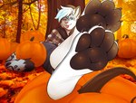 4_toes anthro black_pawpads blue_eyes blue_hair clothing feet food foot_focus fruit hair hindpaw male one_eye_closed outside pawpads paws plant pumpkin sitting soles solo toes tongue tongue_out tree wink verysleepycat felid mammal pantherine snow_leopard hi_res